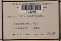 Image Associated With the Occurence